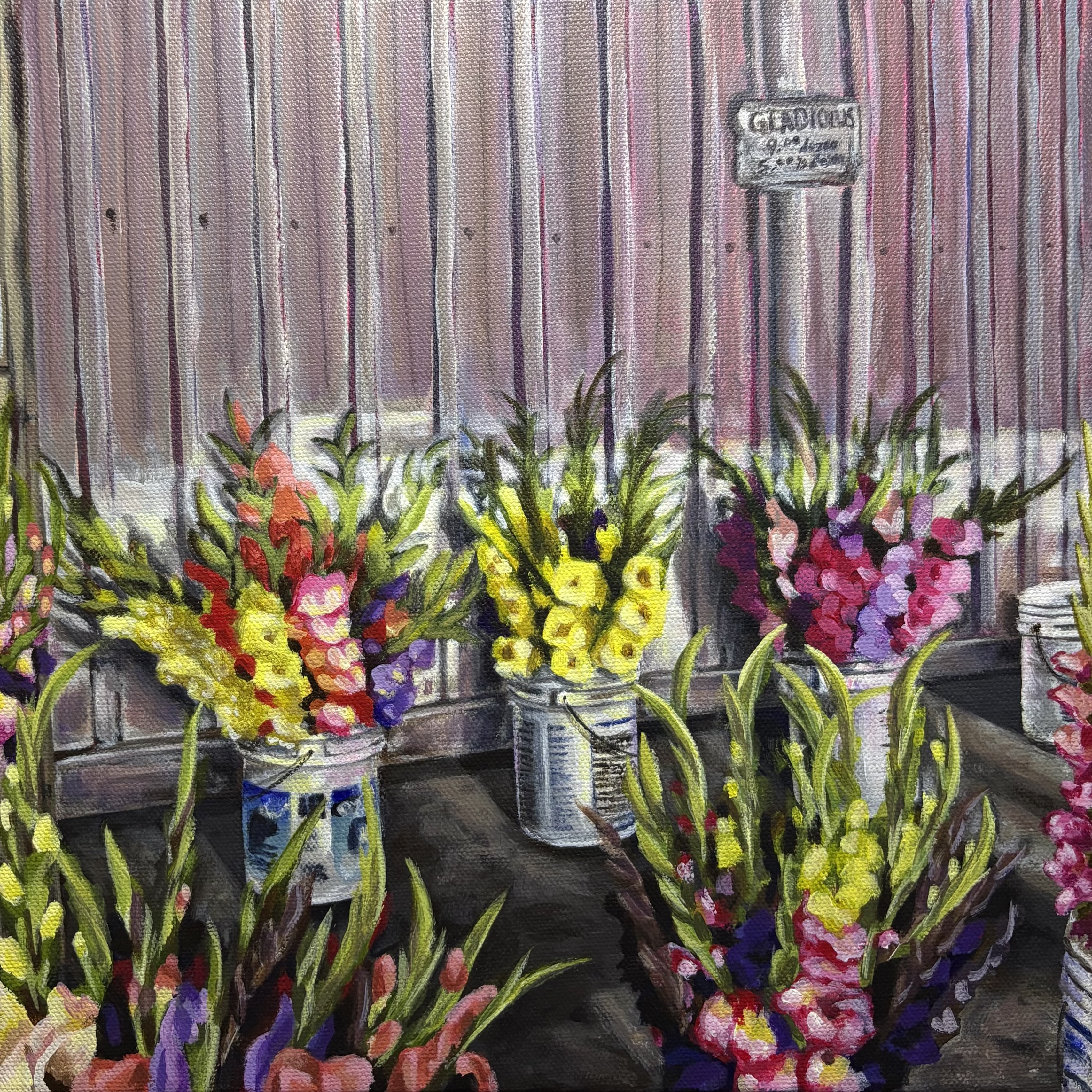 Gladiolus on Ontario St.